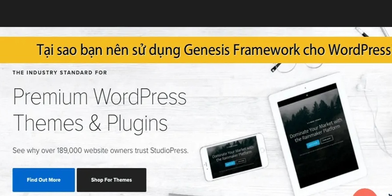 ly-do-chon-genesis-framework-la-gi