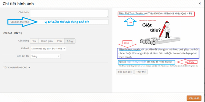 toi-uu-onpage-ve-the-alt